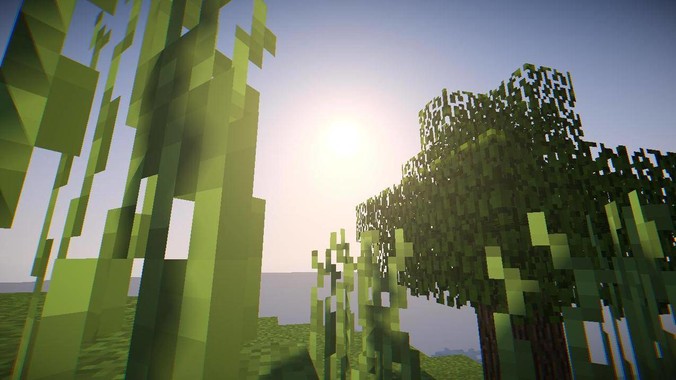 LCD党真的只是少部分人吗？