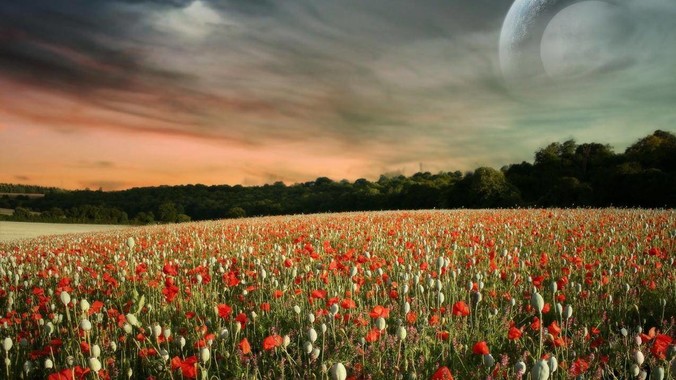 微软 VS Code 1.101 发布，集成 MCP 协议，这对用户体验有哪些改变？